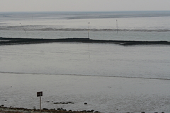 Wattenmeer Sandwatt Schlickwatt Nordsee